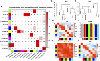 Application of weighted co-expression network analysis and machine learning to identify the pathological mechanism of Alzheimer's disease